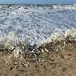 In Near The