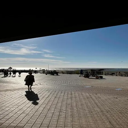 In Near The Oostende