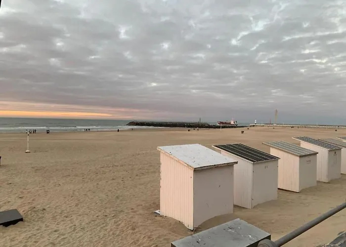 In Near The شقة *